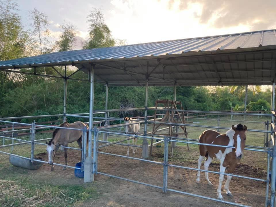 Ataalaya Farmhouse Batangas Esterno foto